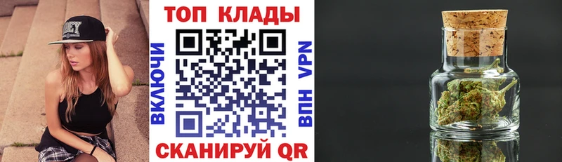 Магазины продажи наркотиков Эртиль Гашиш  Каннабис  АМФ  Псилоцибиновые грибы  Меф  КОКАИН  Альфа ПВП 