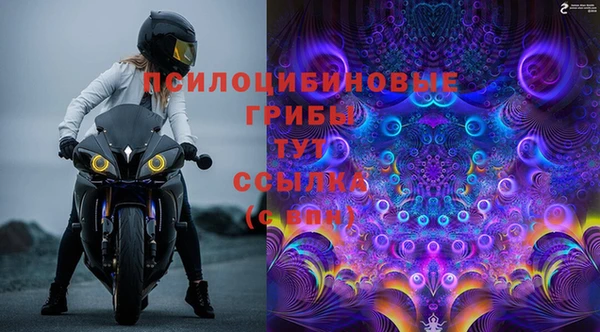 шишки Красноперекопск