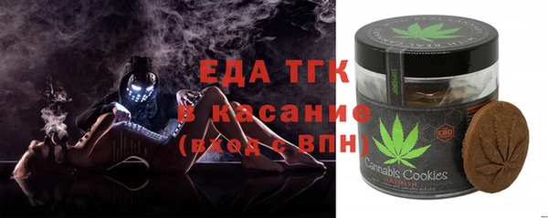 гашик Краснослободск