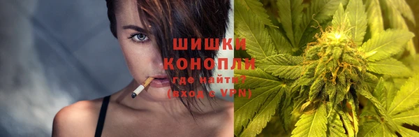 гашик Краснослободск