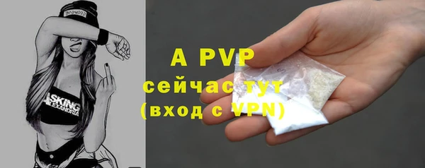 гашик Краснослободск