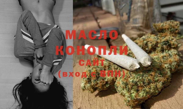 гашик Краснослободск