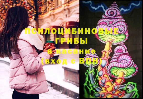 гашик Краснослободск