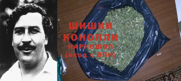 гашик Краснослободск