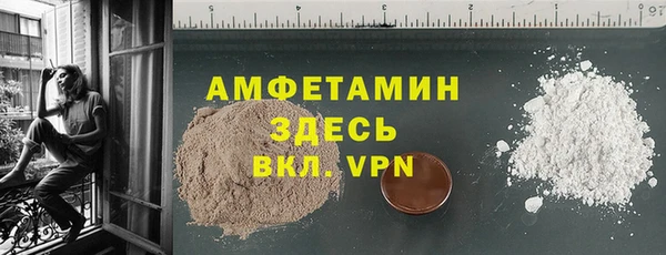 гашик Краснослободск