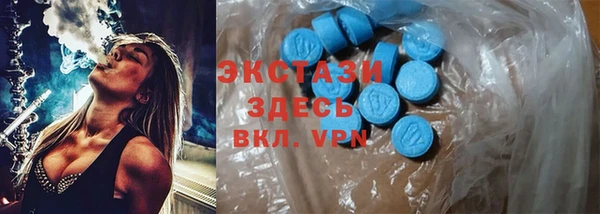 гашик Краснослободск