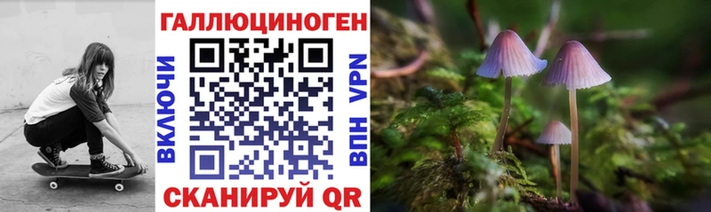 Псилоцибиновые грибы Cubensis  где найти наркотики  Эртиль 